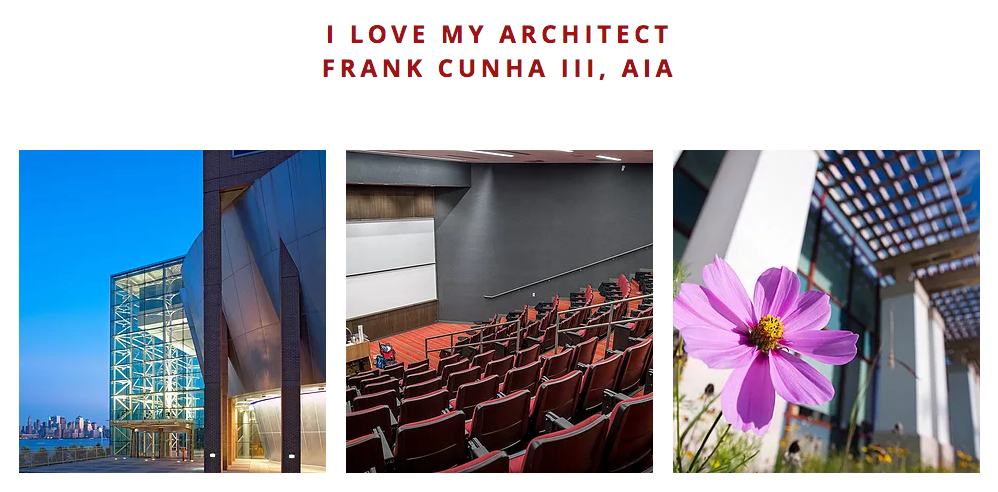 alt="Toon Dreessen on i love my architect"