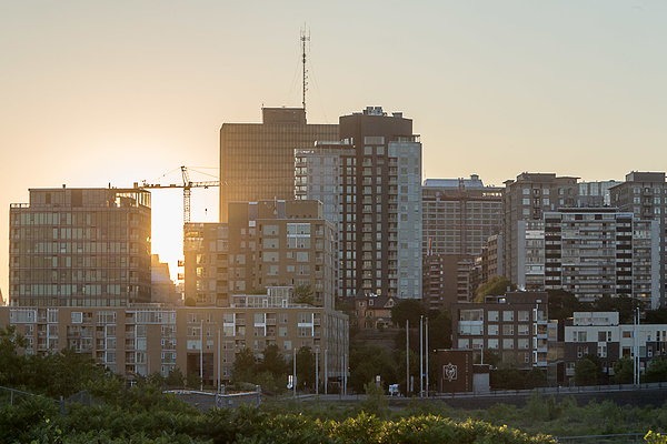 Centretown skyline viewed from Lebreton Flats